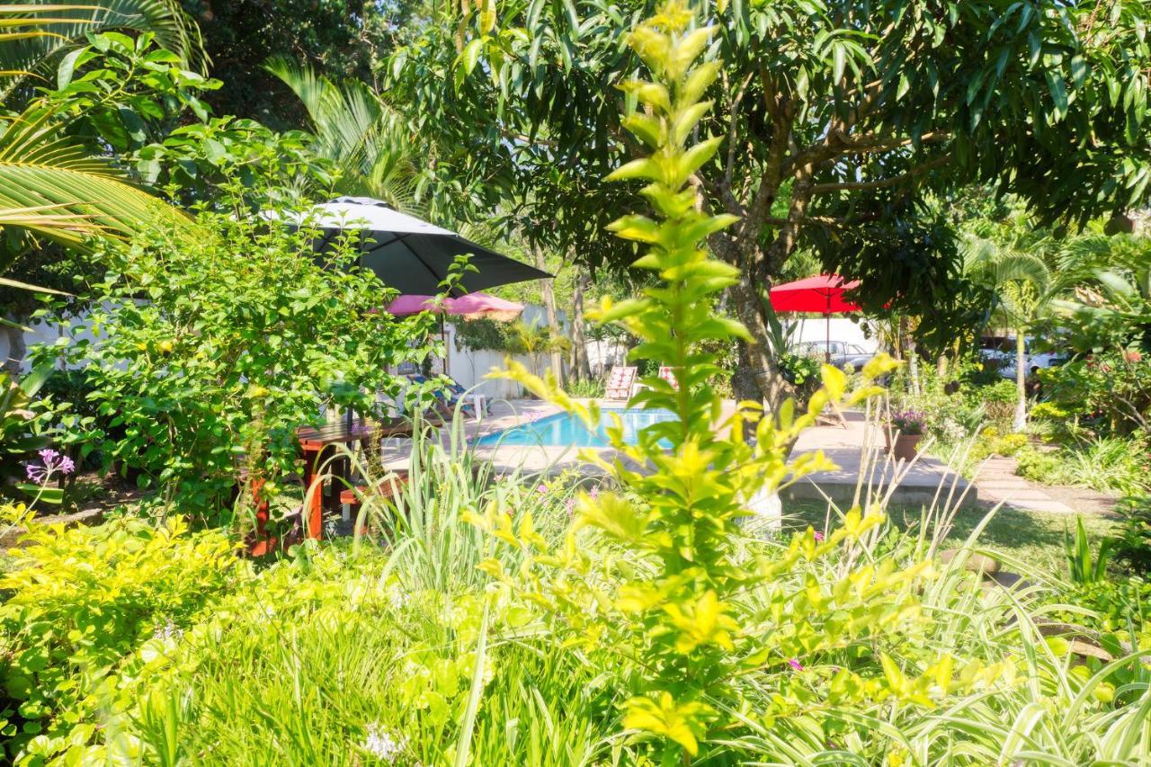 ポンタ・ド・オウロ Ilha Azul Houseヴィラ エクステリア 写真